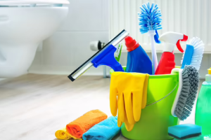 Messie Reinigung Siegburg